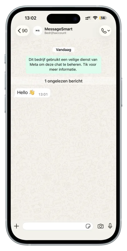 WhatsApp text message example